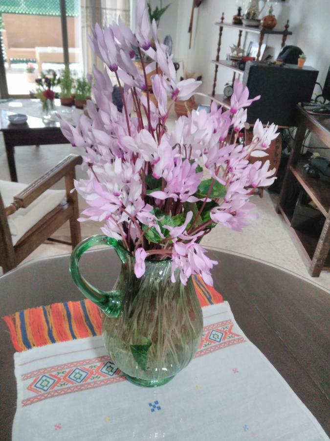 Yiota'S Cute Studio Paphos ภายนอก รูปภาพ